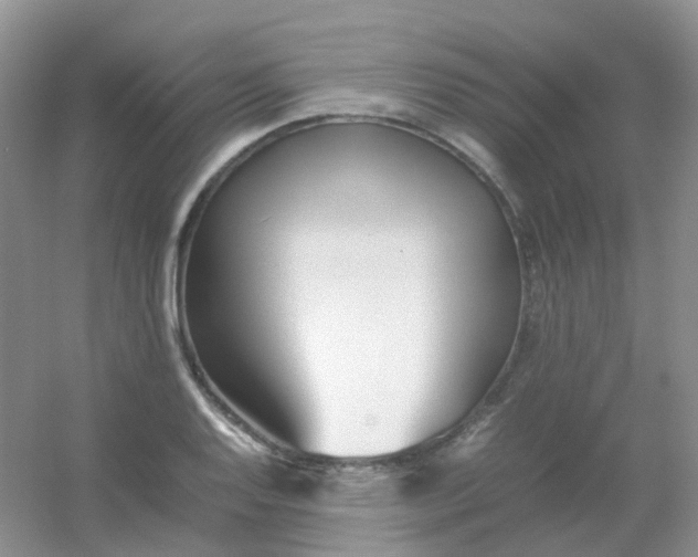 X0000054331128200508111912.png