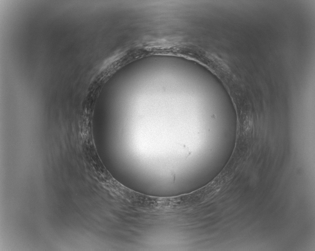 X0000055061350200508161635.png