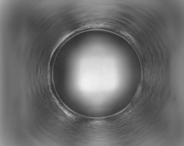 X0000055060894200508161642.png