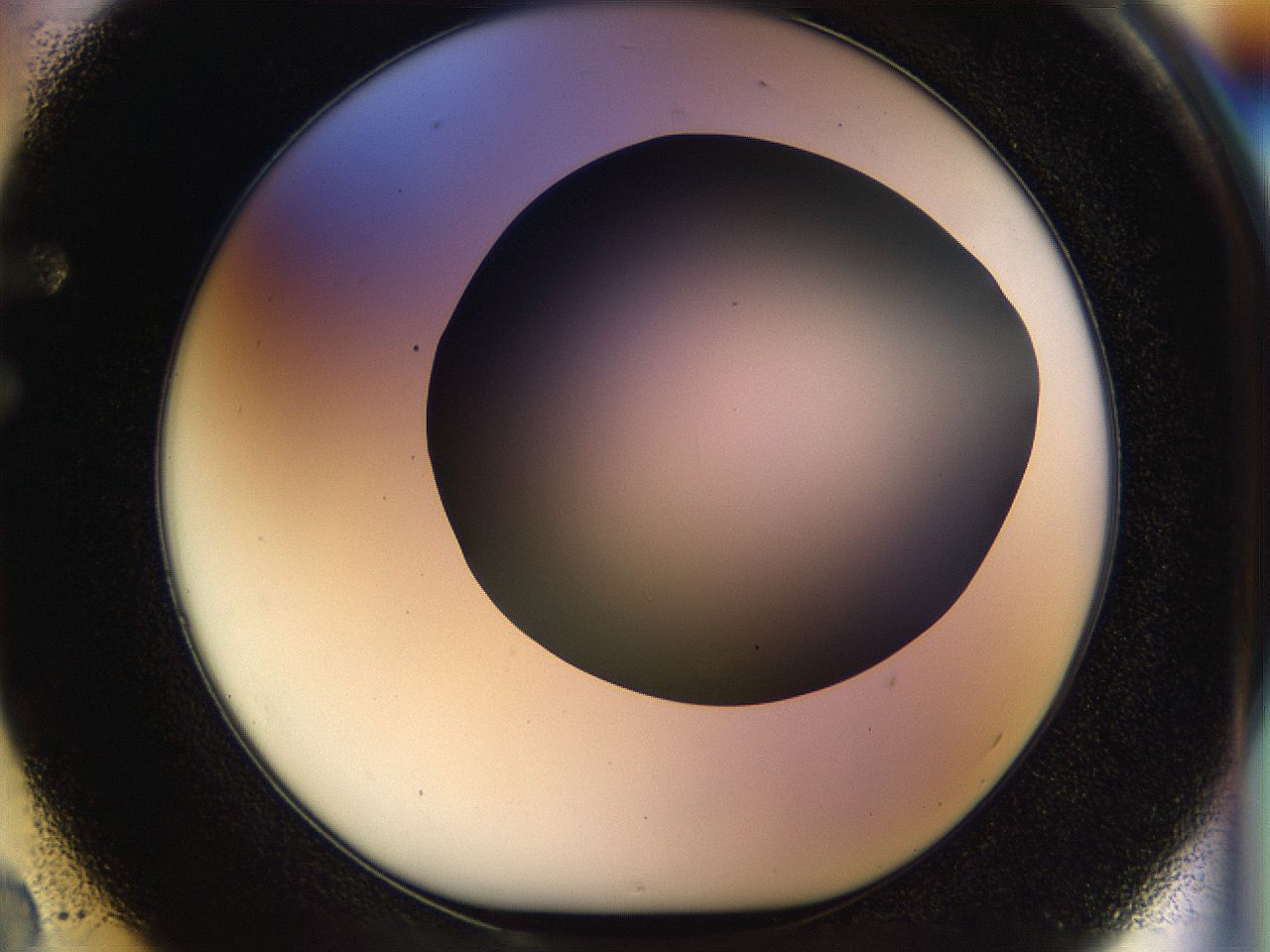 056c_F2_ImagerDefaults_0.jpg