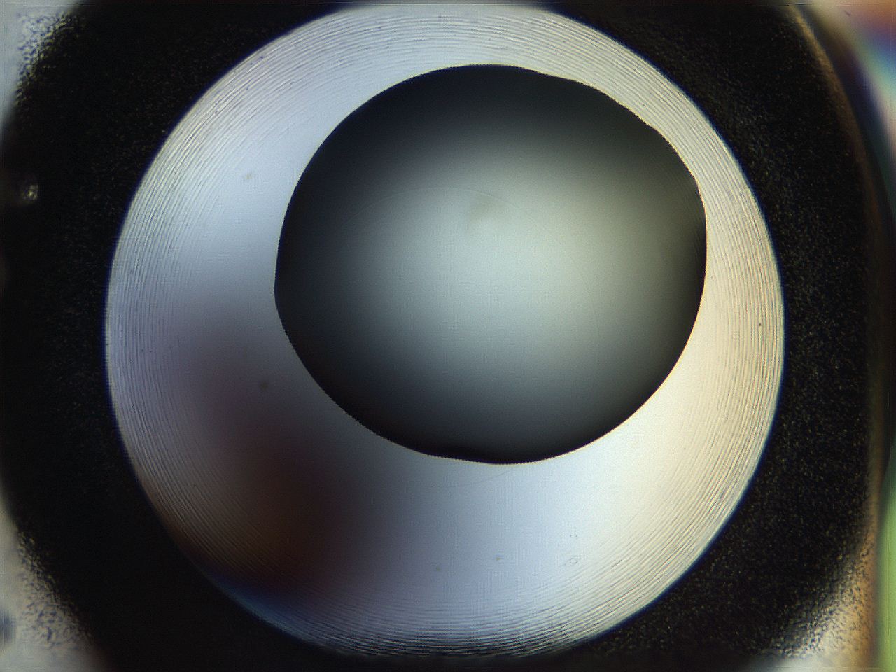 056c_F5_ImagerDefaults_0.jpg