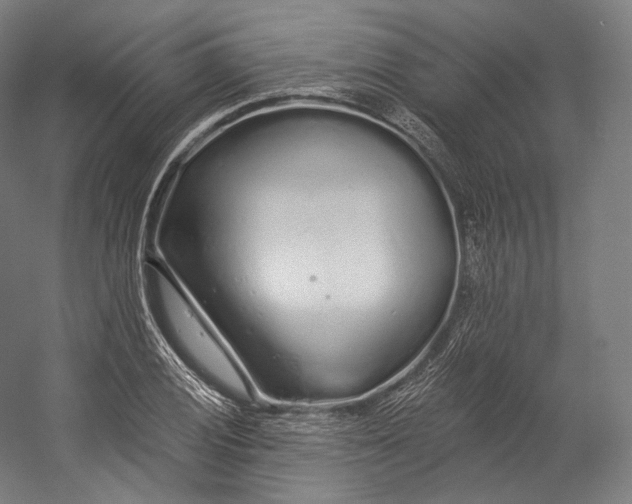 X0000055211028200508301316.png