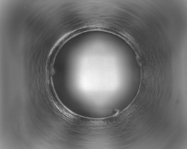 X0000055061120200508161638.png