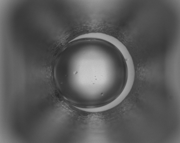 X0000051110756200507141756.png