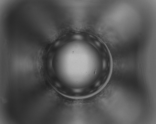 X0000047470574200503091602.png