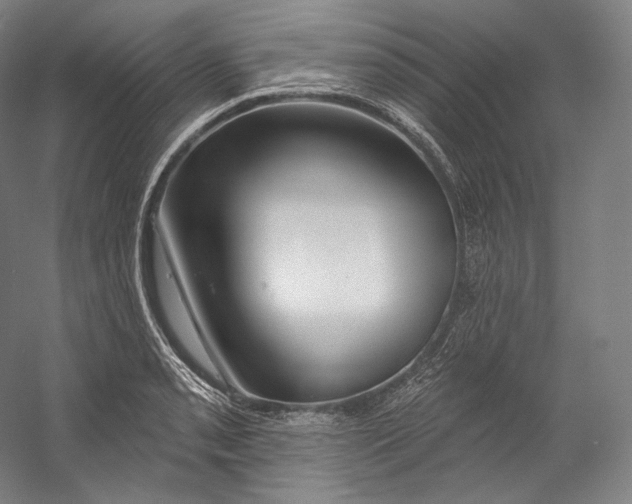 X0000055211085200508301315.png