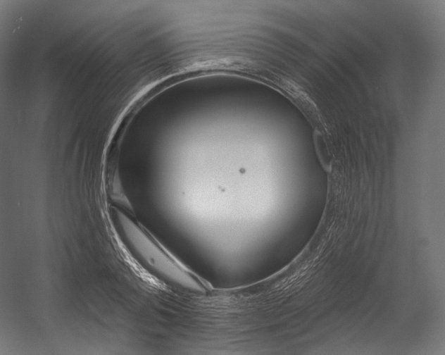 X0000055210792200508301320.png
