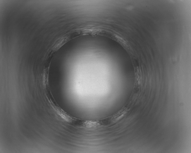 X0000055210333200508301328.png