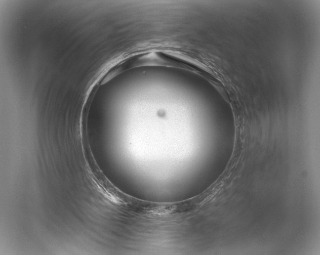 X0000055060148200508161654.png