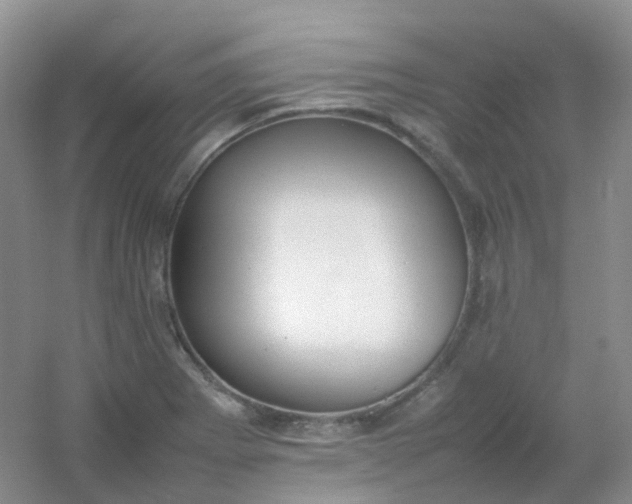 X0000054331273200508111909.png