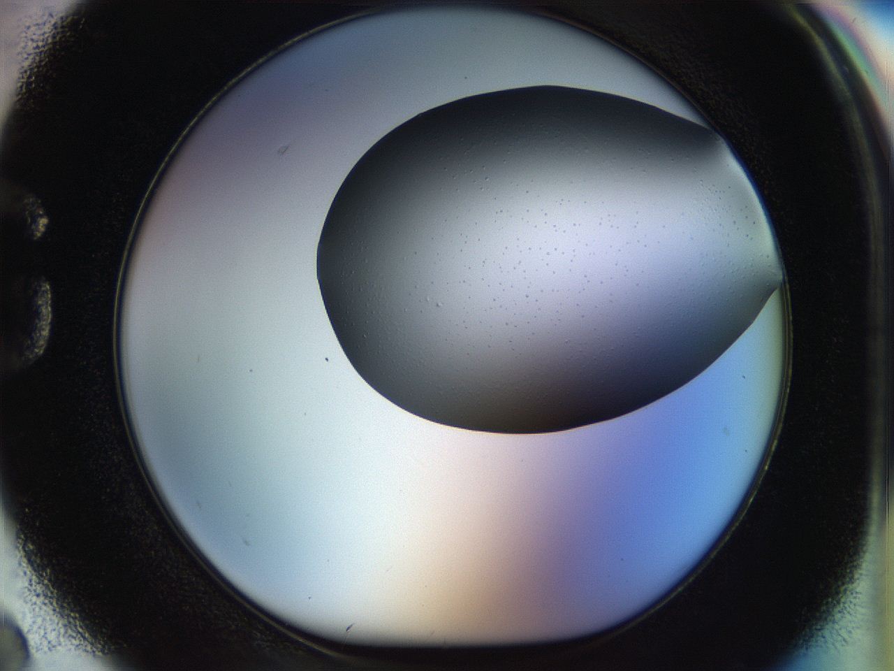 056c_G2_ImagerDefaults_0.jpg
