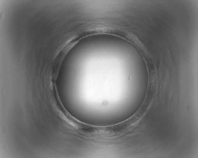 X0000054330585200508111921.png