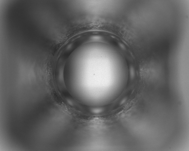 X0000052450460200507211318.png