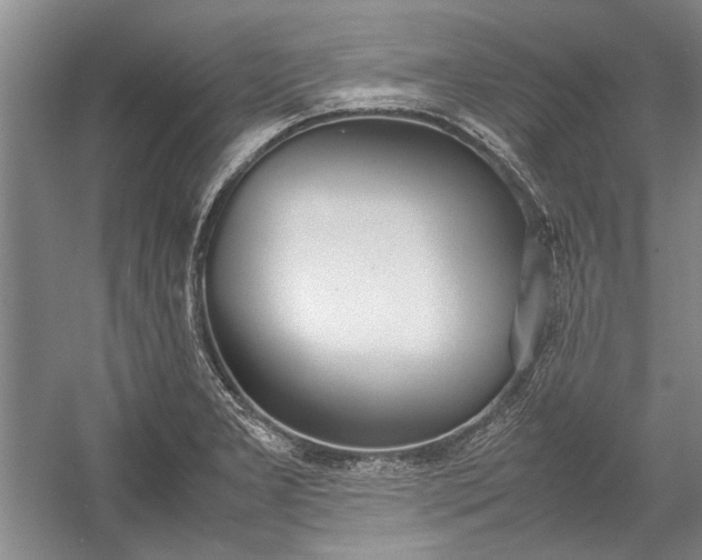 X0000055061277200508161636.png