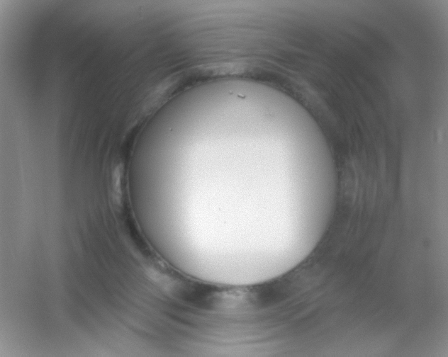 X0000054330118200508111929.png