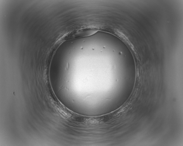 X0000055060249200508161653.png