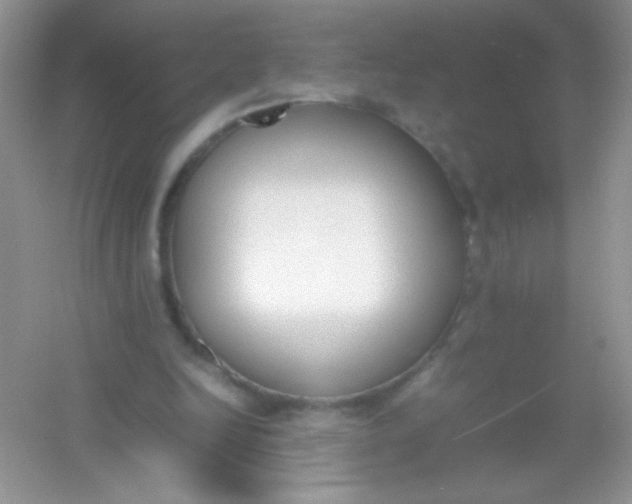 X0000054330246200508111926.png