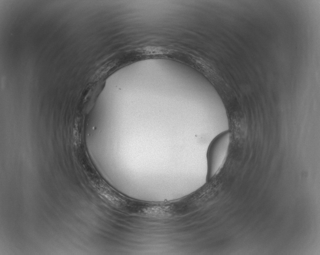 X0000055210422200508301327.png