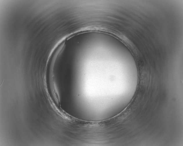 X0000054330896200508111916.png