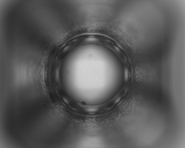 X0000045450740200502011656.png