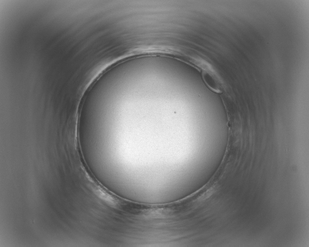 X0000054331228200508111910.png