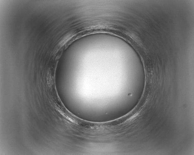 X0000055060969200508161641.png