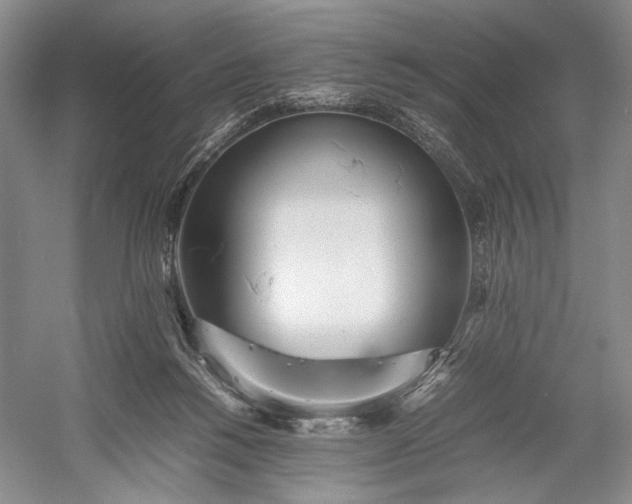 X0000055060168200508161655.png