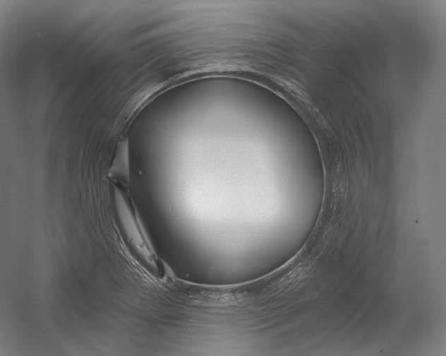 X0000055211273200508301312.png