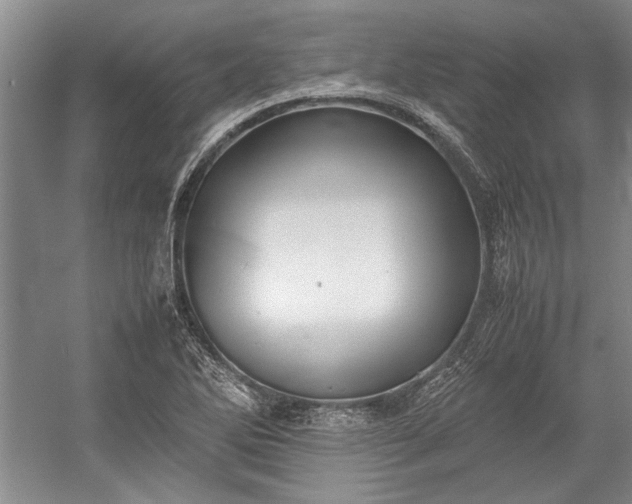 X0000055061270200508161636.png