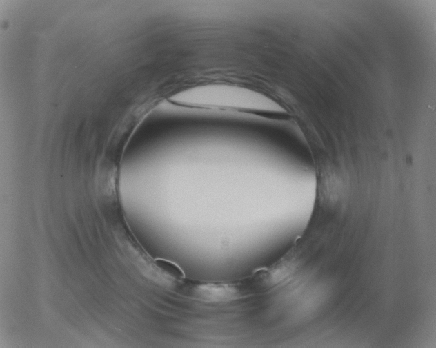 X0000054650477200508091646.png