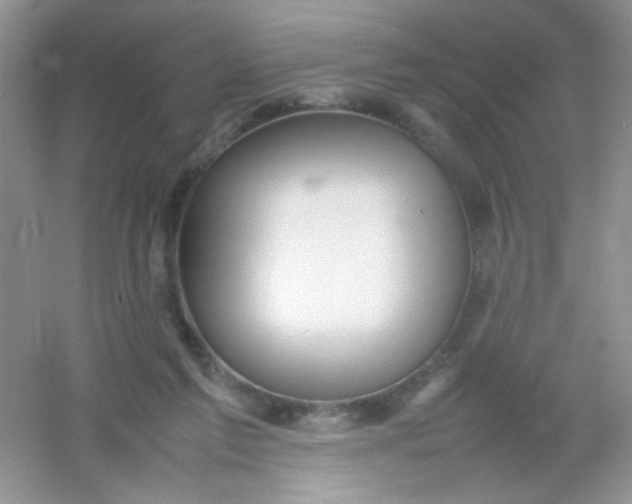 X0000054330213200508111927.png