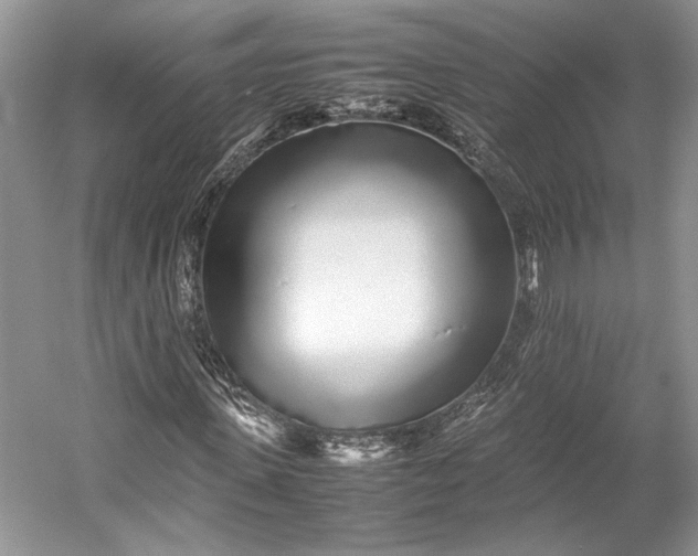 X0000055060915200508161641.png