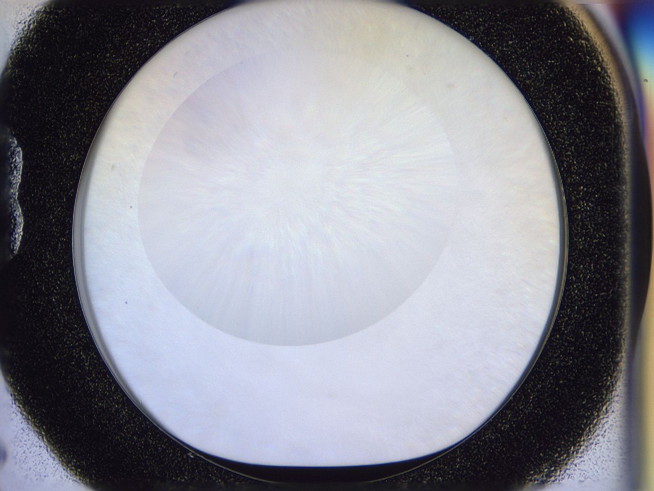 056d_B5_ImagerDefaults_0.jpg