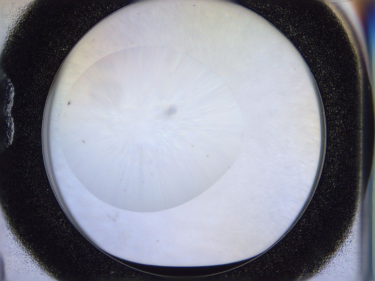 056d_B4_ImagerDefaults_0.jpg