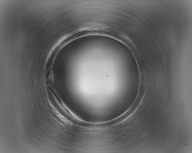 X0000055211114200508301314.png
