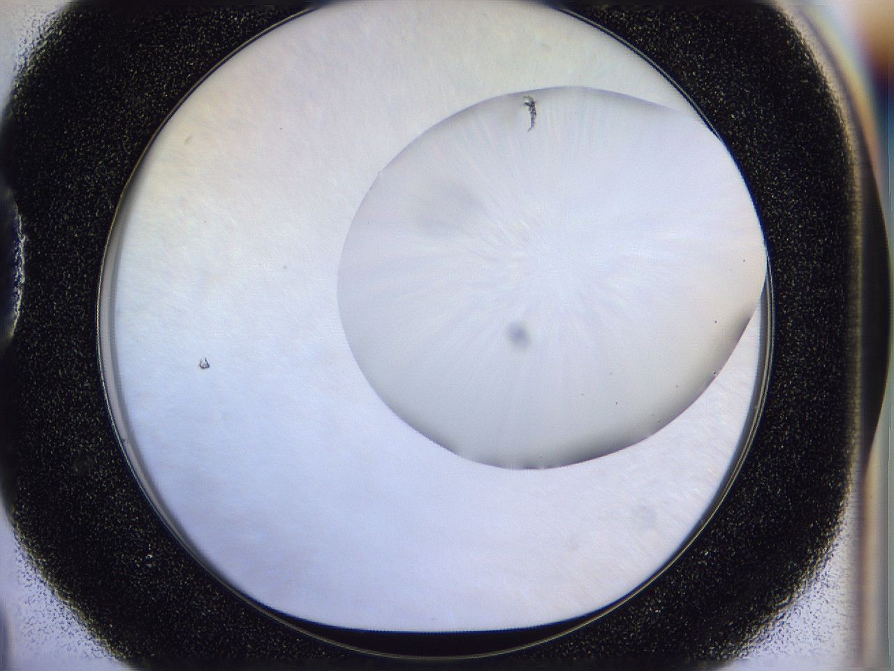 056d_D4_ImagerDefaults_1.jpg