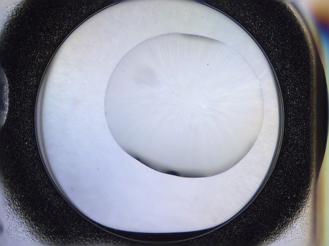 056d_D5_ImagerDefaults_0.jpg