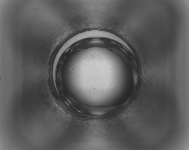 X0000040560578200411021431.png