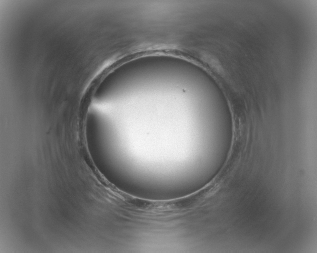 X0000054331165200508111911.png