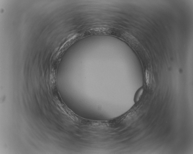 X0000054171107200508101752.png