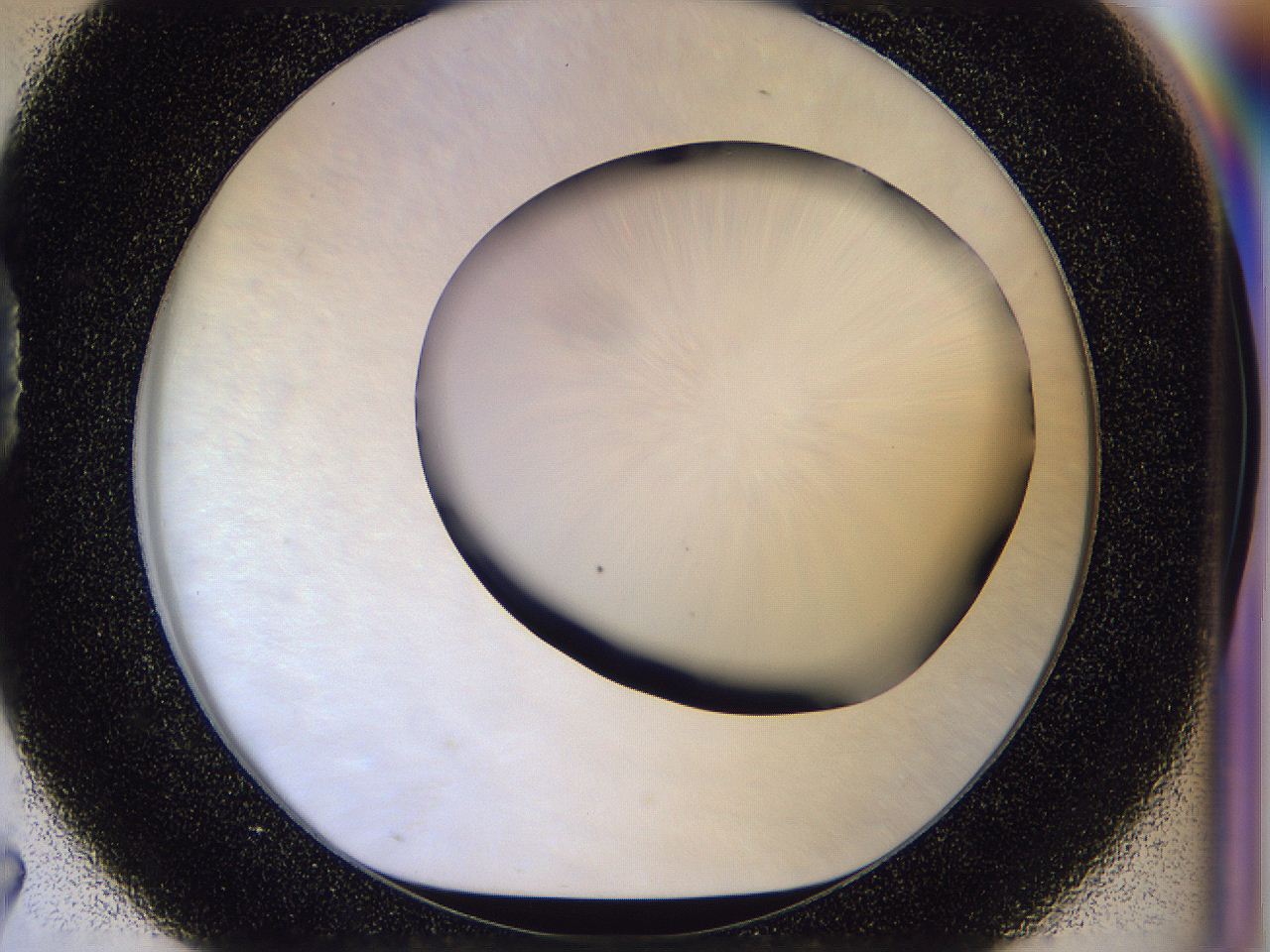 056d_D7_ImagerDefaults_0.jpg