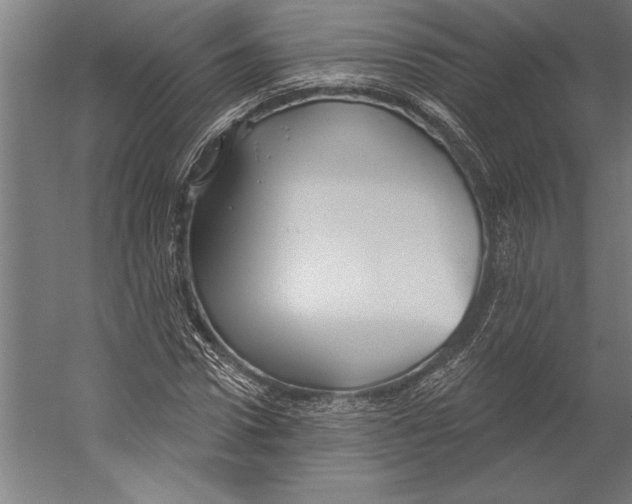 X0000055250922200509071611.png