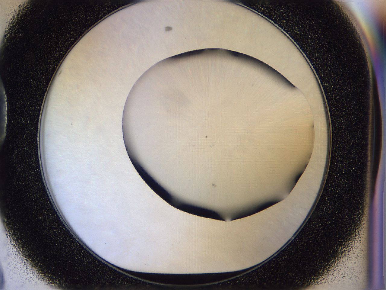 056d_D8_ImagerDefaults_0.jpg
