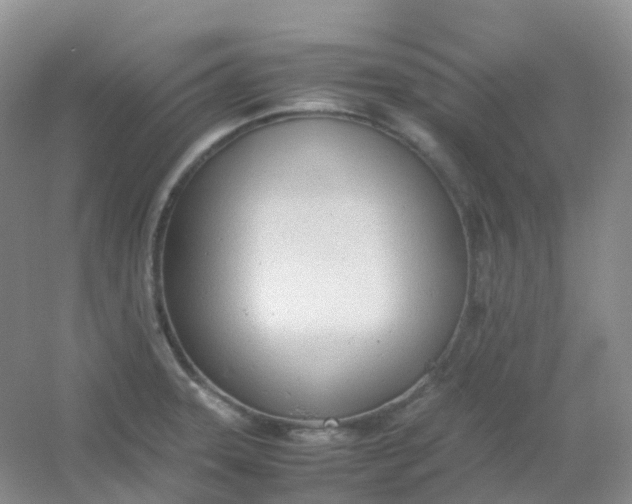 X0000054331331200508111909.png
