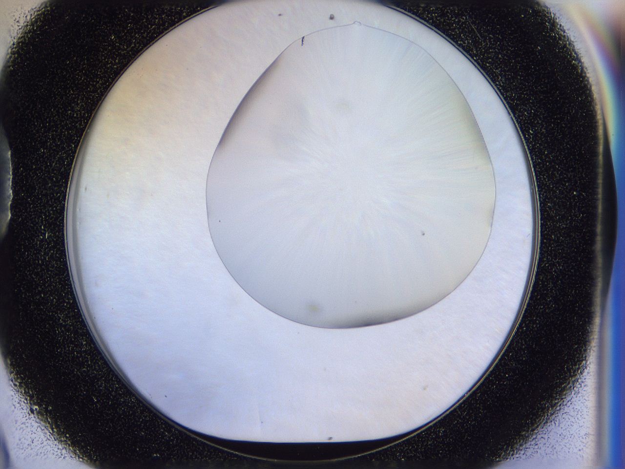 056d_D9_ImagerDefaults_0.jpg