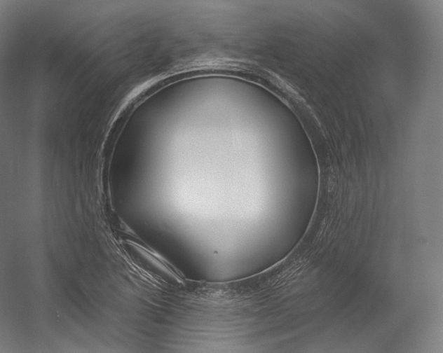X0000055211222200508301313.png