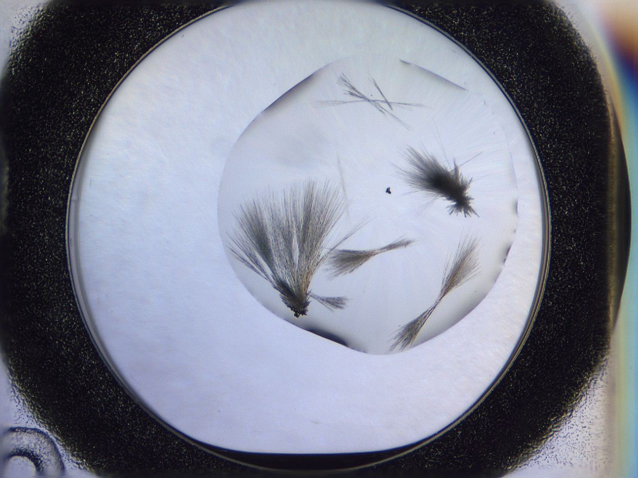 056d_D10_ImagerDefaults_7.jpg