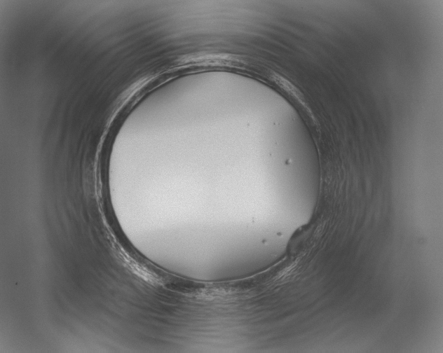 X0000055211082200508301315.png