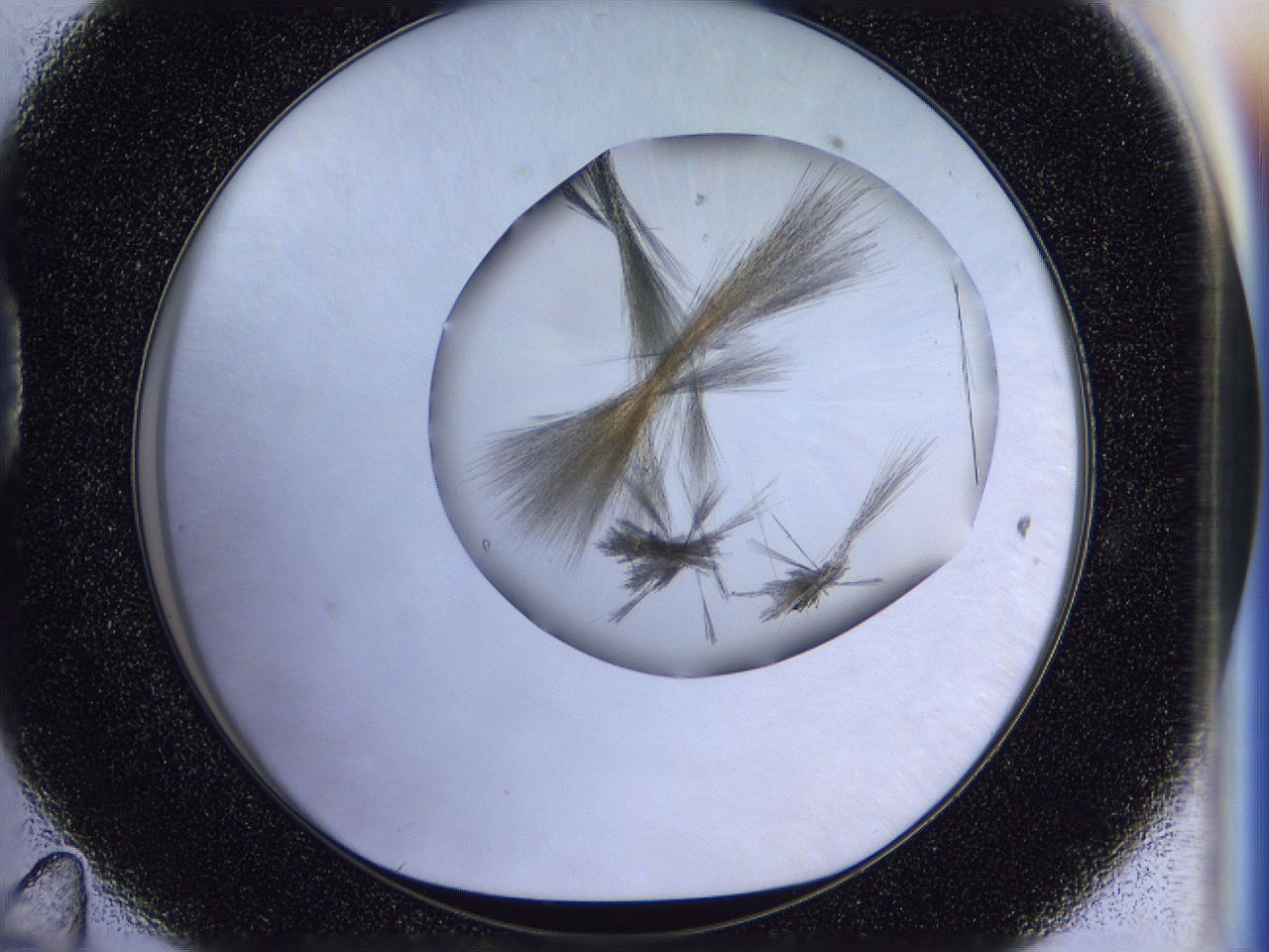 056d_D11_ImagerDefaults_7.jpg