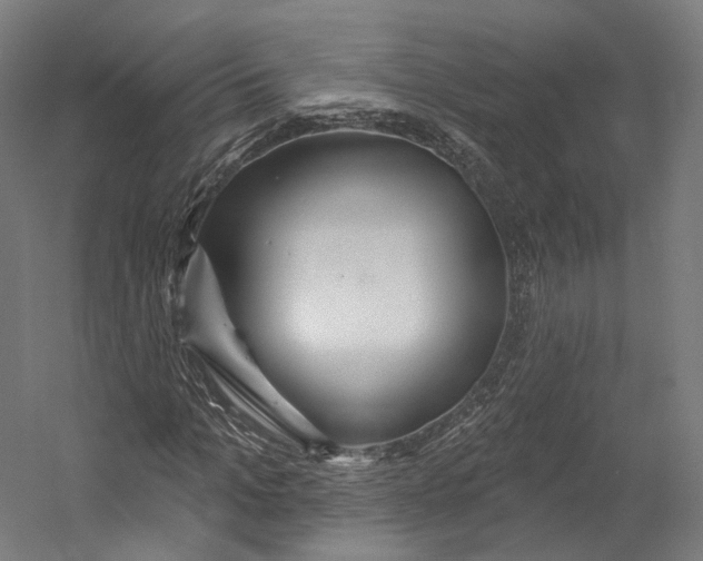 X0000055210965200508301317.png